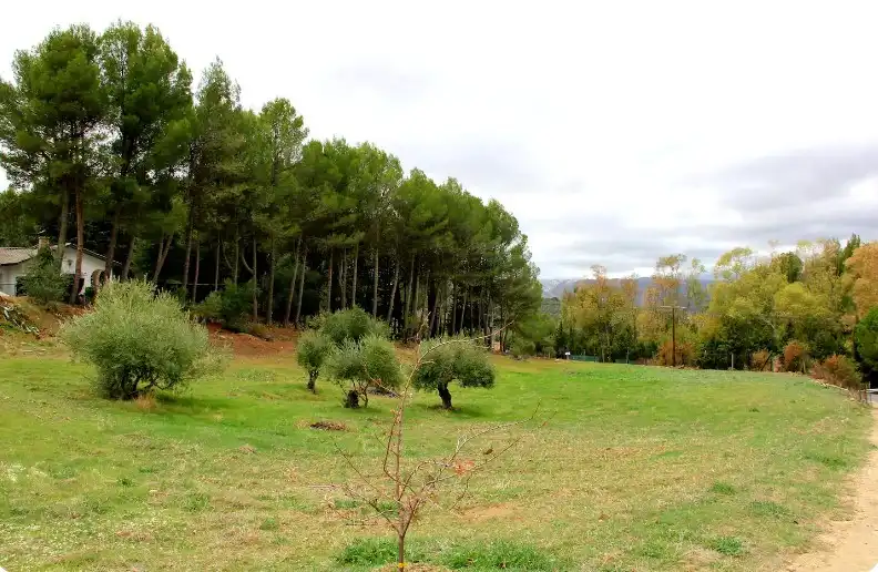 Xalet amb piscina en venda a Partidas Norte, imagen 8