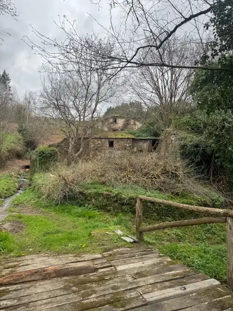 Vista exterior de Finca rústica en venta en Castropol