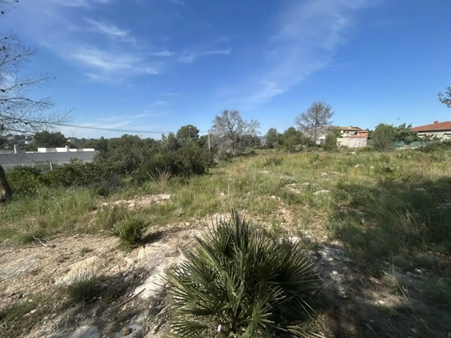 Terreny residencial en venda a Carcaixent, imagen 9