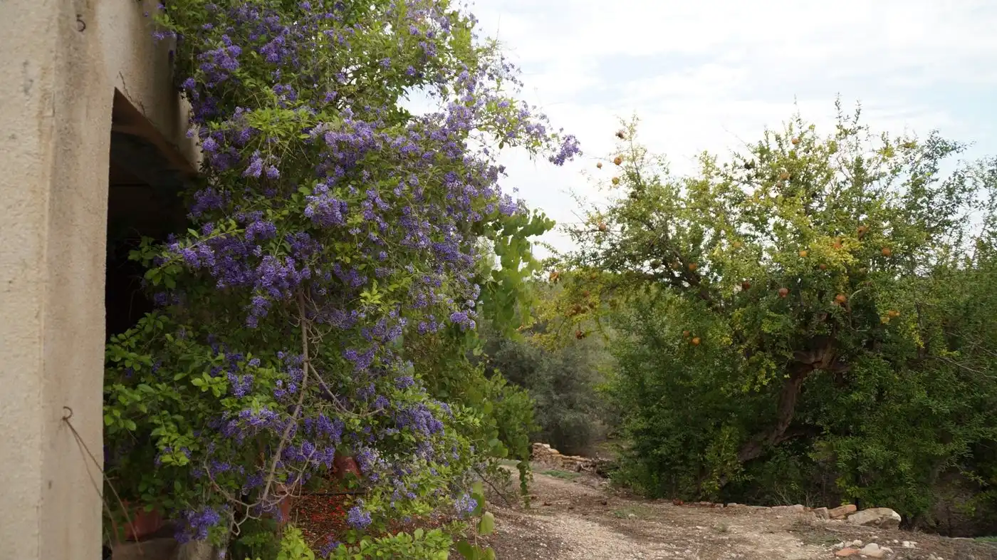 Jardí de Finca rústica en venda en Valls amb Calefacció, Jardí privat i Terrassa