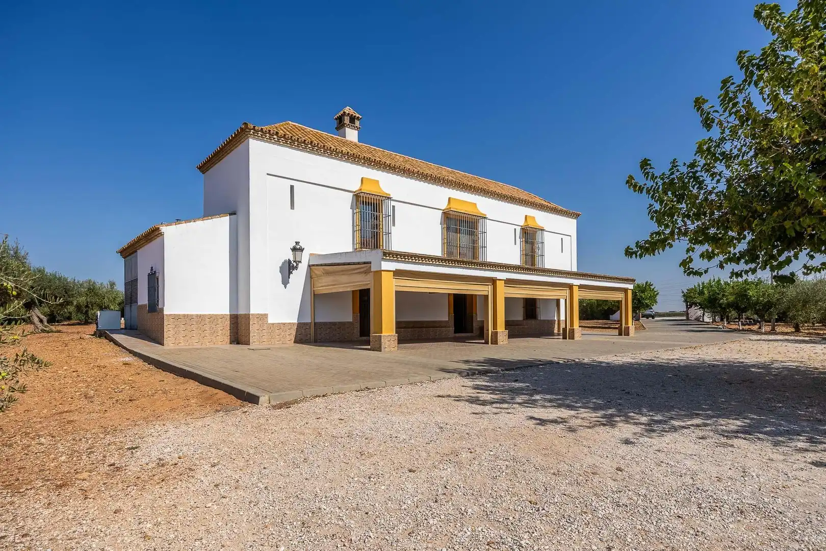 Vista exterior de Finca rústica en venta en Carmona con Calefacción, Jardín privado y Terraza