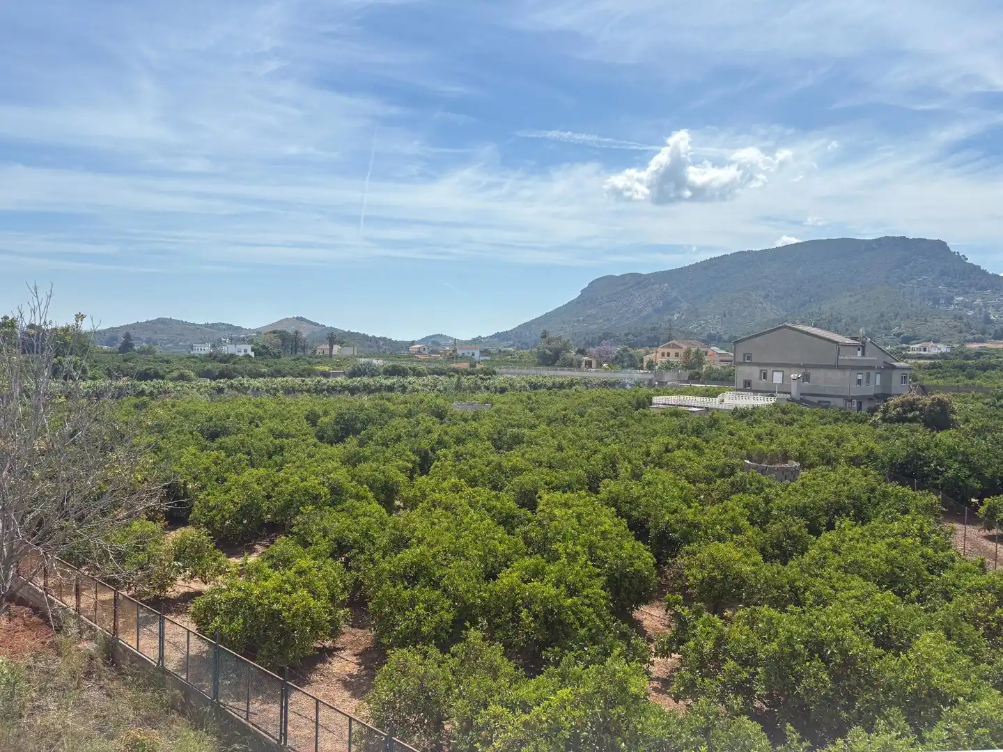 Country homes for sale in Alzira  with Private garden, Terrace and Swimming Pool