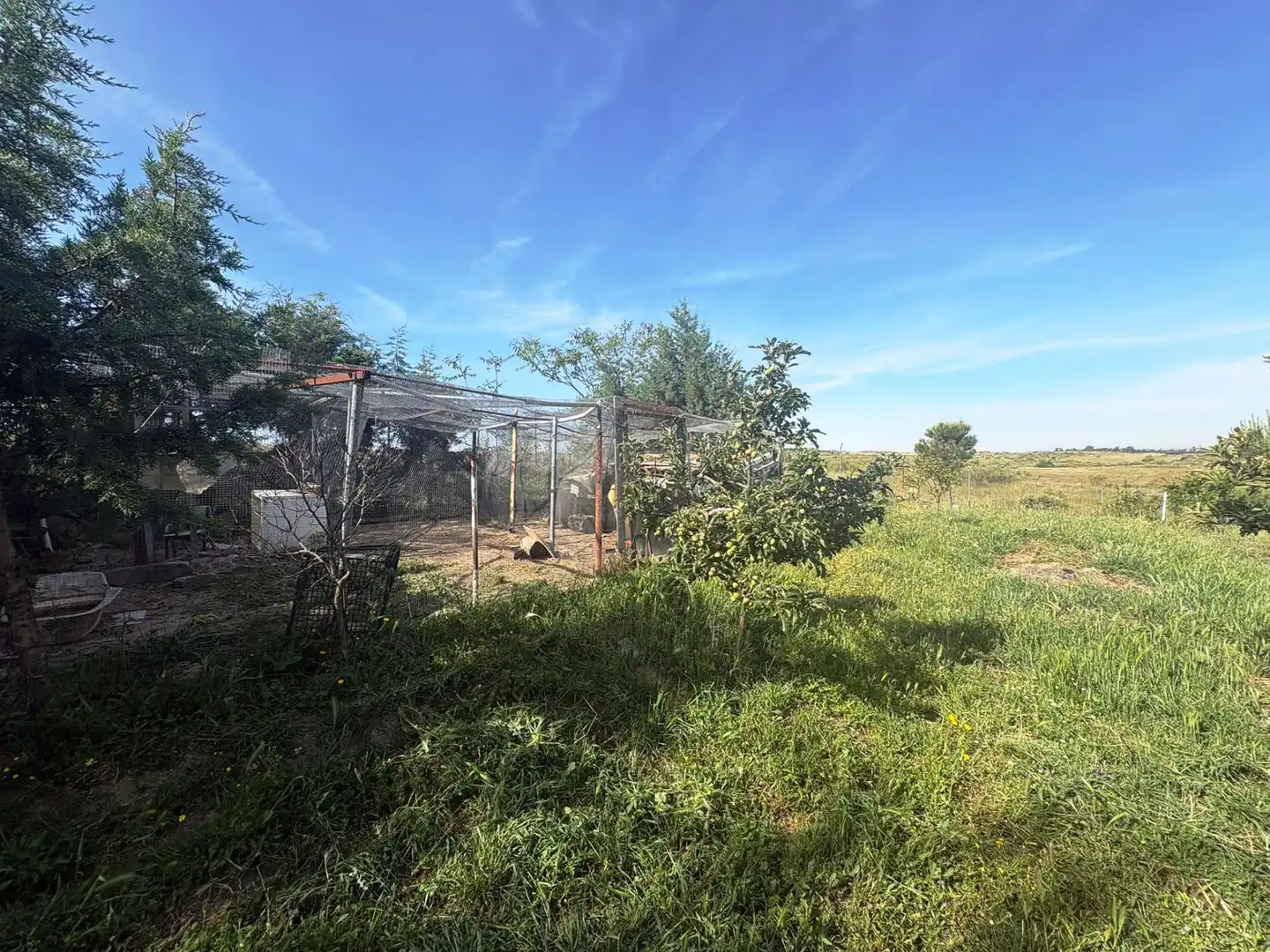 Terreno en venta en Casarrubios del Monte