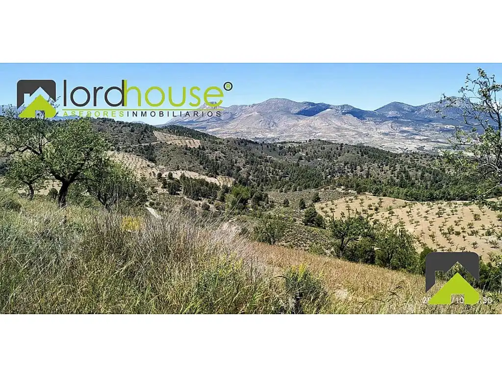 Finca rústica en venta en Lorca