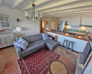 Living room of Country house to rent in Icod de los Vinos