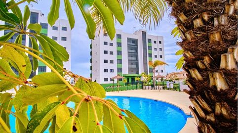 Foto 2 de Apartamento en venta en Mil Palmeras, Pilar de la Horadada