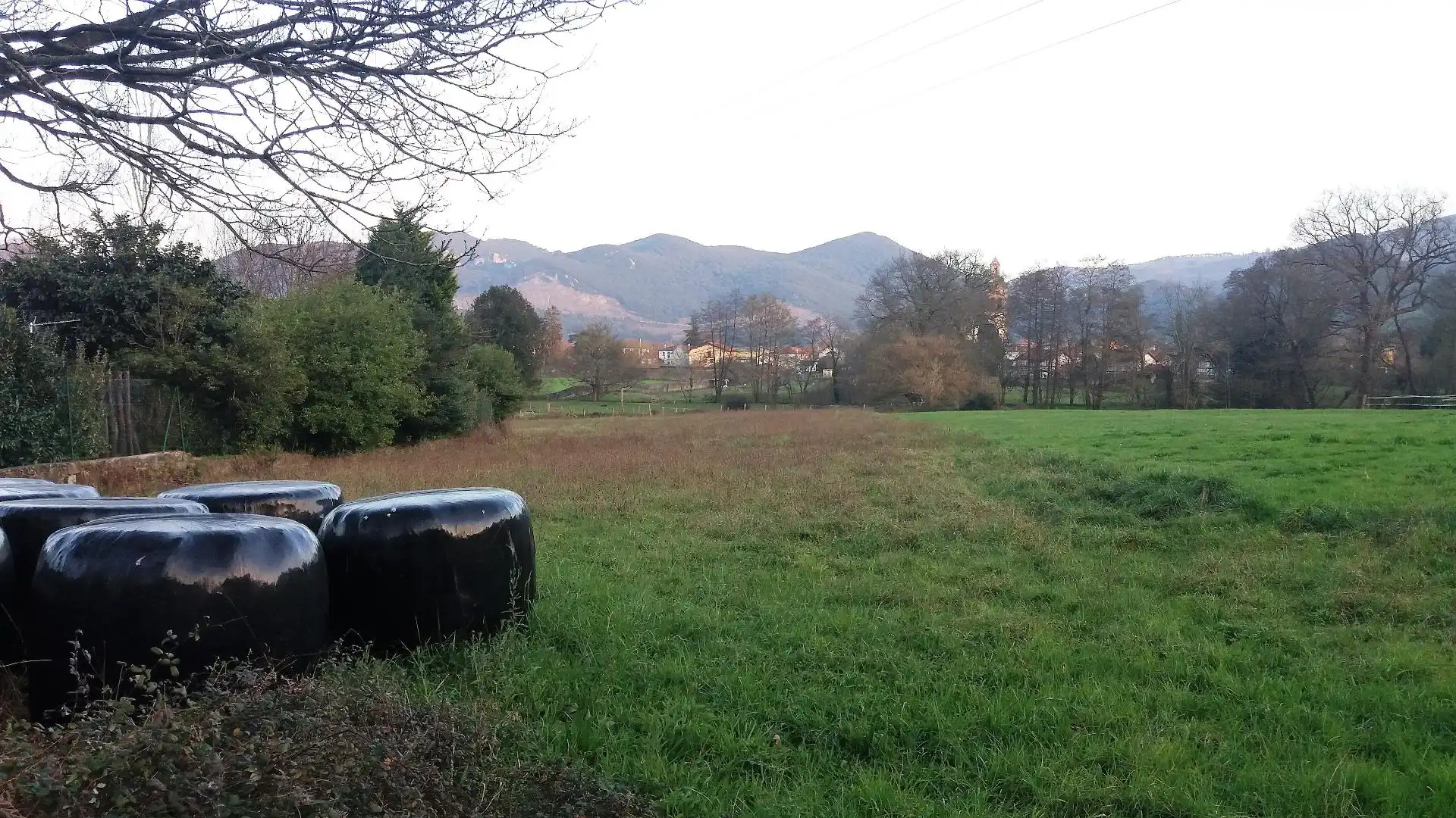 Terreny rústic en venda a El Callejo - La Pesquera - La Arenosa