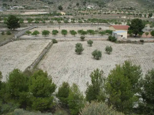 Villa avec jardin à vendre à Monóvar  / Monòver, imagen 5