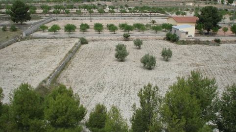 CASA DE CAMPO EN VENTA EN MONOVAR, image 5