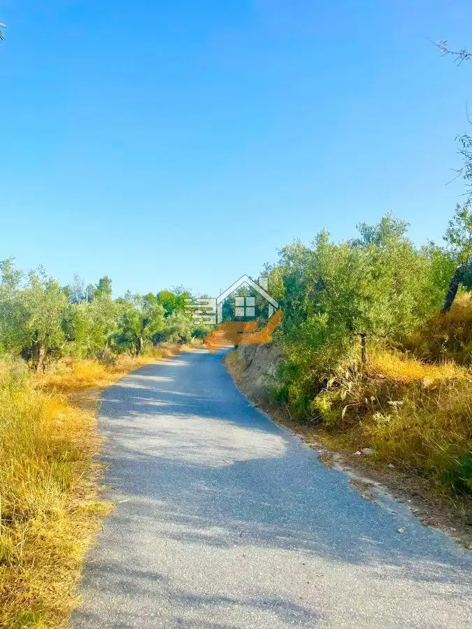 Residential land for sale in Vélez-Rubio, imagen 4