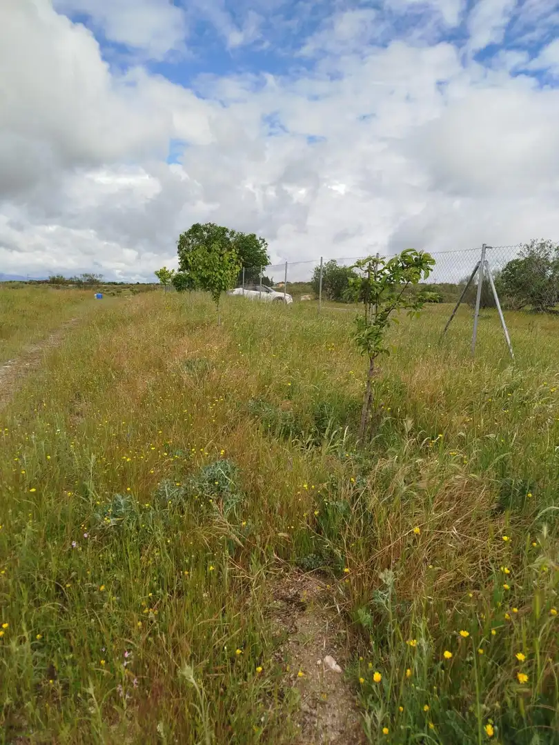 Terreno rústico en venta en Fuencarral - El Pardo, imagen 2