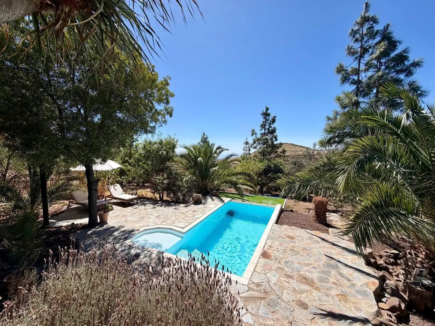 Piscina de Finca rústica en venta en Telde con Aire acondicionado, Calefacción y Jardín privado