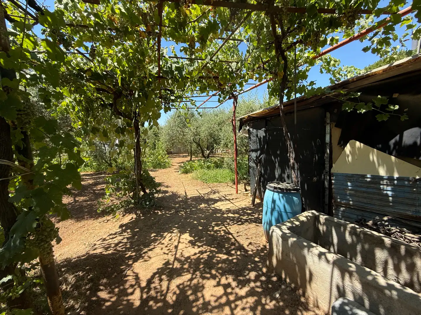 Rustikales Grundstück zum Verkauf in El Camí de Vila-seca 28, imagen 7