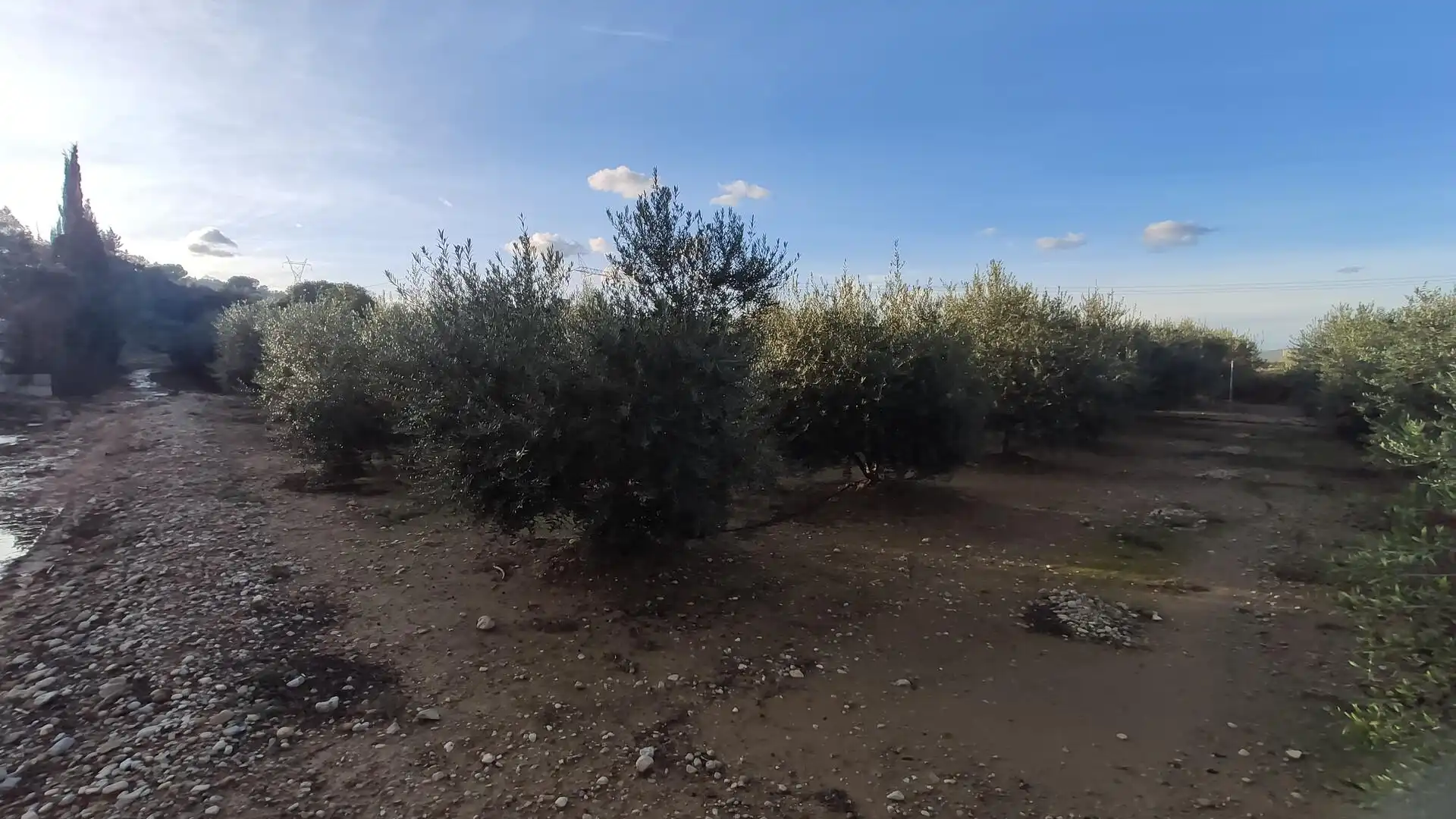 Finca rústica en venta en Amposta