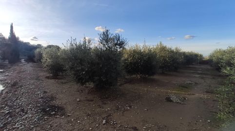 Foto 2 de Finca rústica en venta en Casc Antic, Amposta