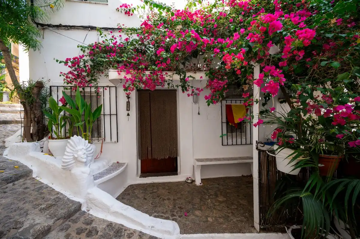 Houses for sale in Dalt de la Vila - La Marina