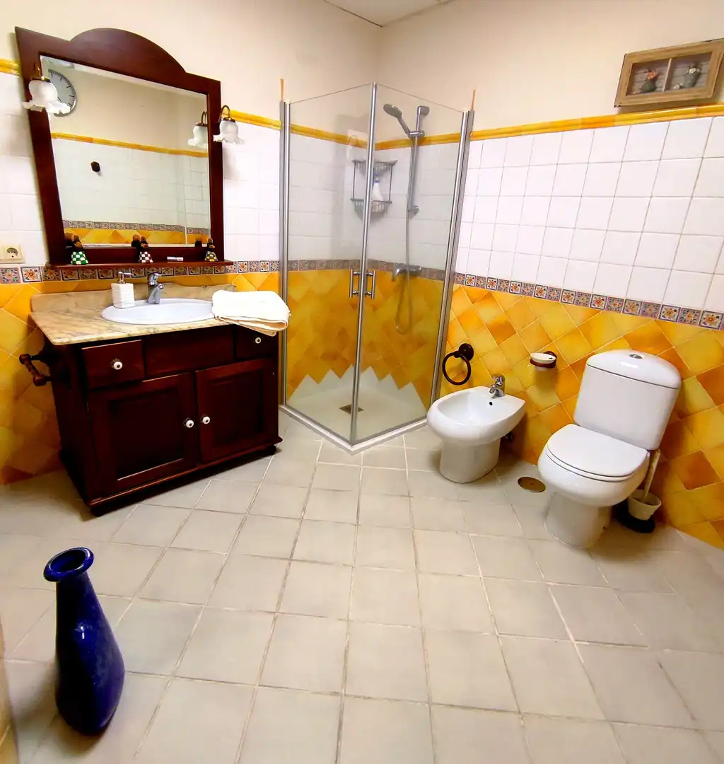 Bany de Casa o xalet en venda en Gondomar amb Jardí privat, Parquet i Terrassa