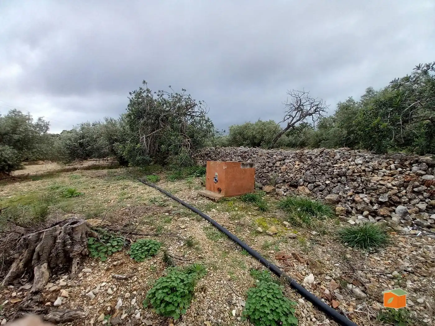 Terreno rustico in vendita a Alcanar, imagen 12