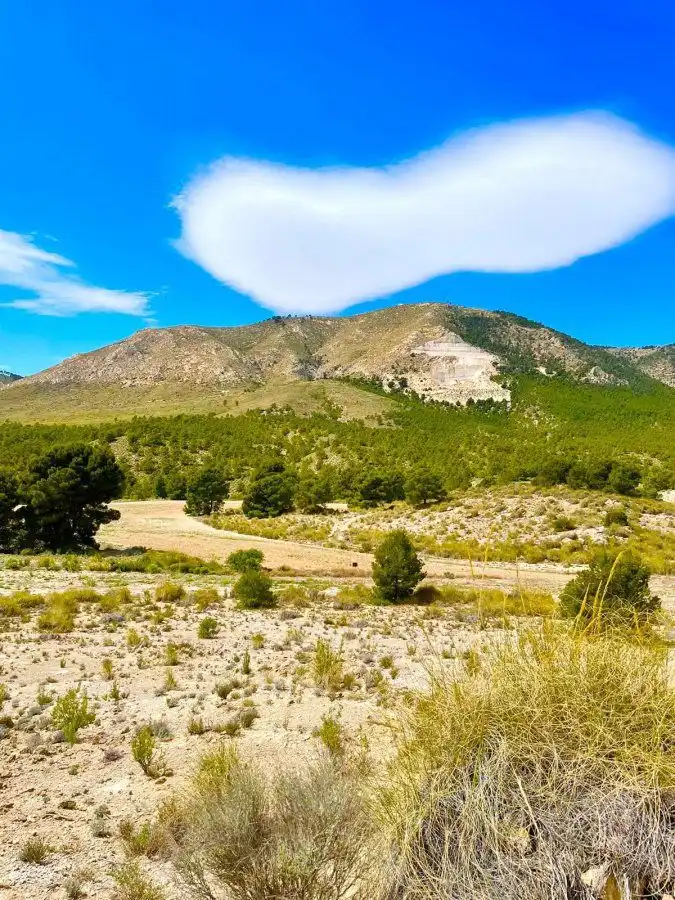 Terreni e lotti in vendita a Pedanías Norte, imagen 17