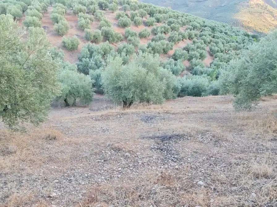 Terreni e lotti in vendita a A-6301 61