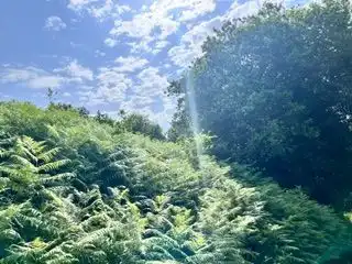 Lands and plots for sale in Santa María de Getxo, imagen 8
