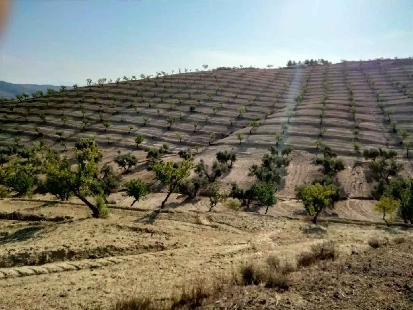 Finca rústica en venda en Escúzar