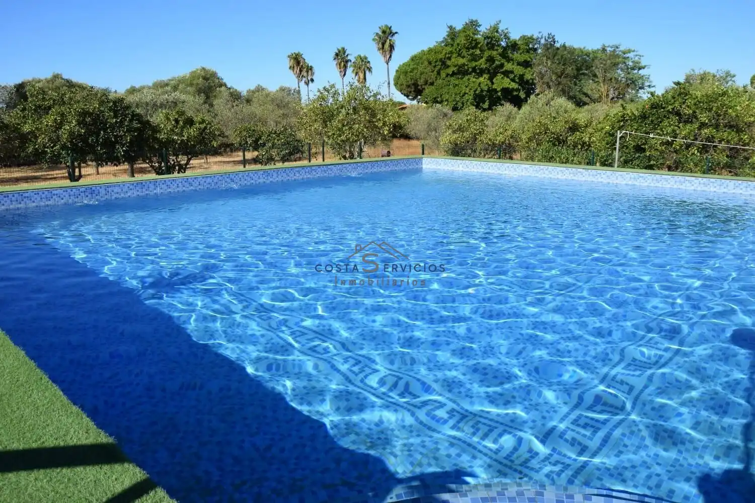 Piscina de Finca rústica en venda en Gibraleón amb Aire condicionat, Terrassa i Piscina