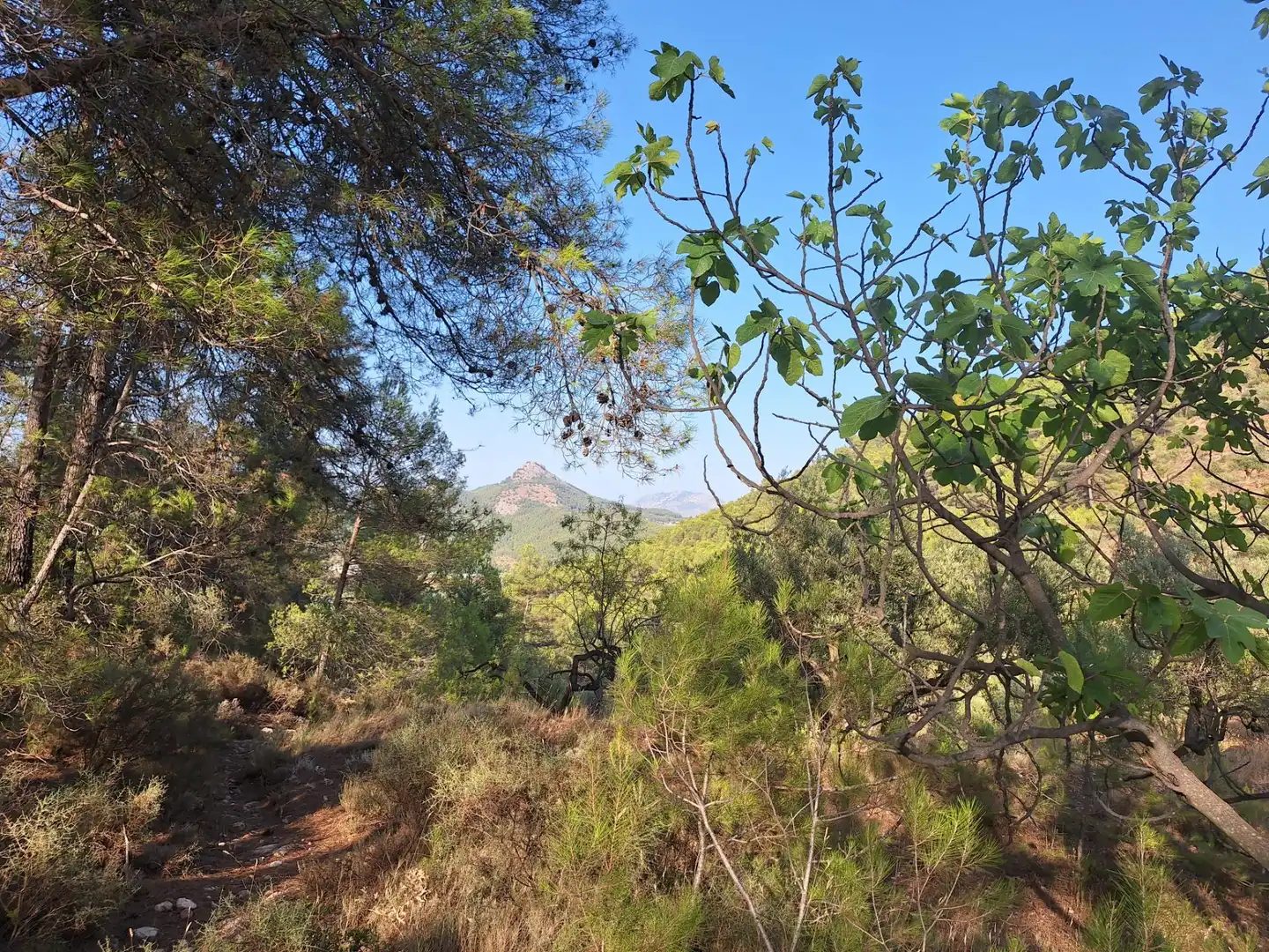 Finca rústica en venta en Alcoy / Alcoi con Trastero y Amueblado