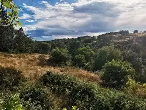 Terreni e lotti in vendita a Jarandilla de la Vera, imagen 5