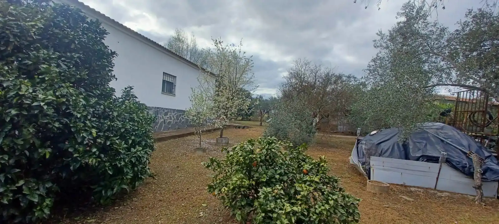 Haus zum Verkauf in Castilblanco de los Arroyos, imagen 37