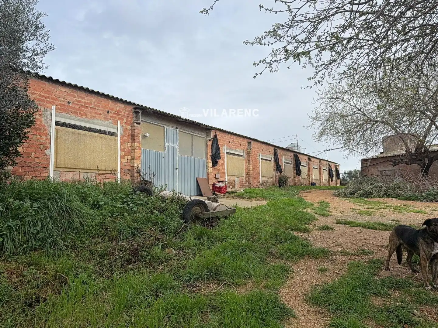 Rustikales Grundstück zum Verkauf in Sant Jaume dels Domenys, imagen 10