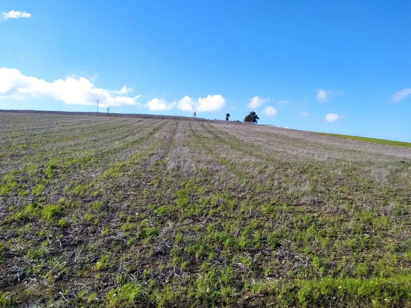 Terreny rústic en venda a Medina Sidonia, imagen 9