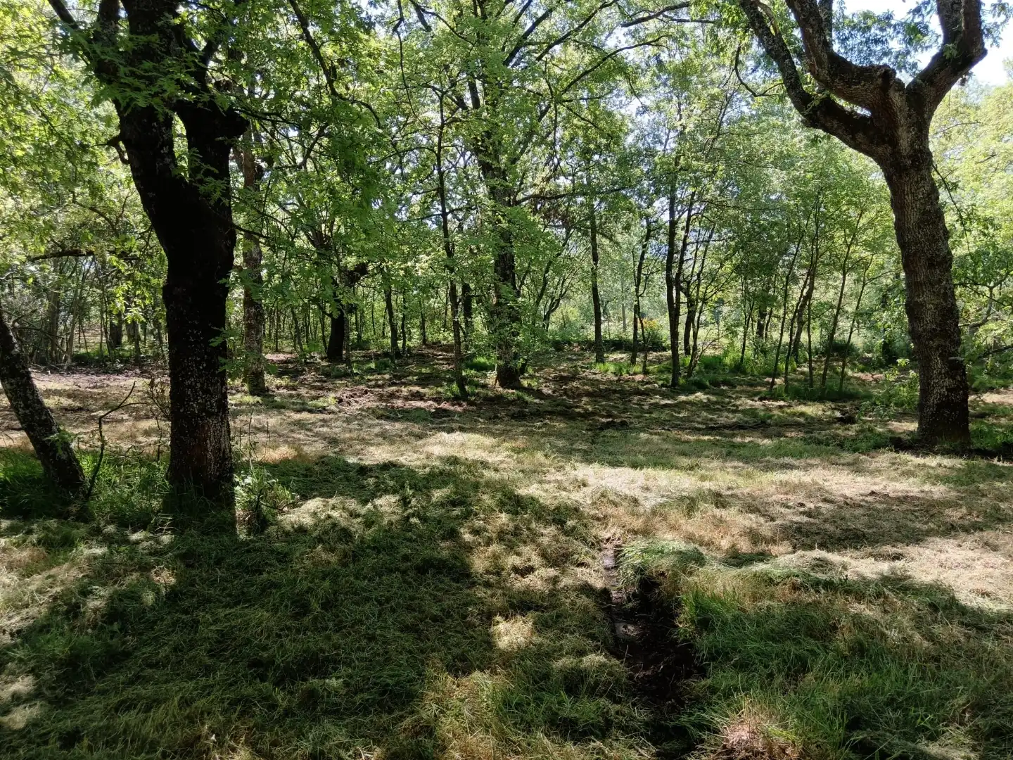 Terreno en venta en Baltar