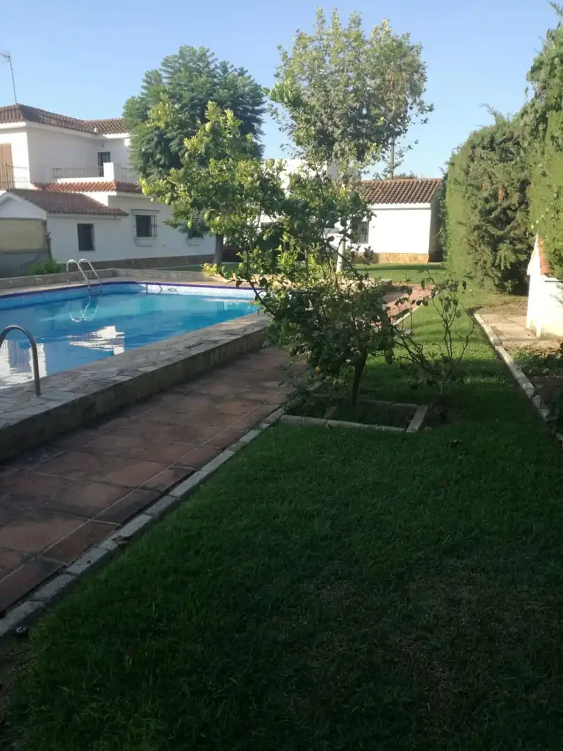 Houses for sale in Bonanza - Avda de Huelva - Barrio Andalucia