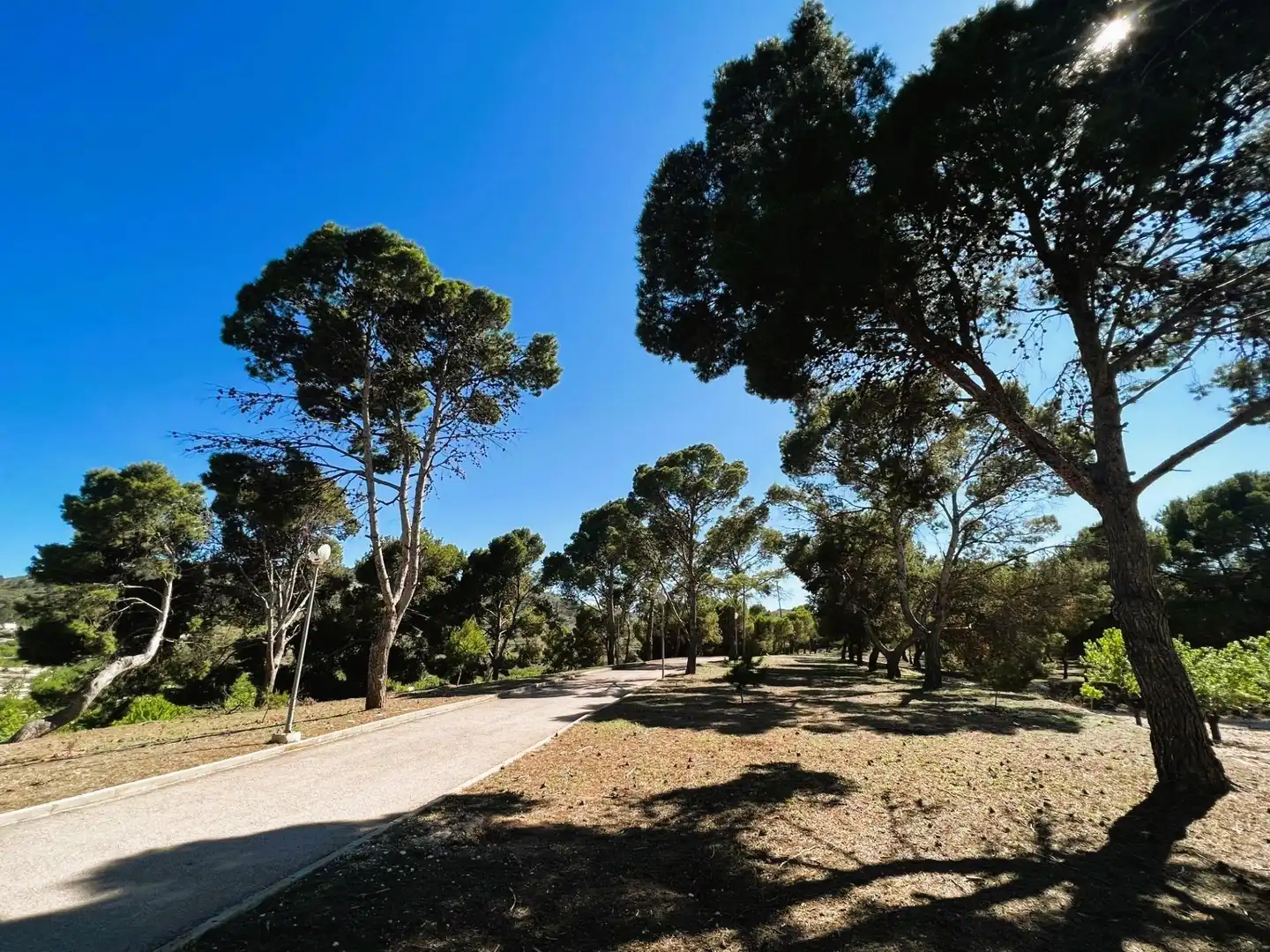 Finca rústica en venta en Monóvar  / Monòver con Aire acondicionado, Calefacción y Jardín privado