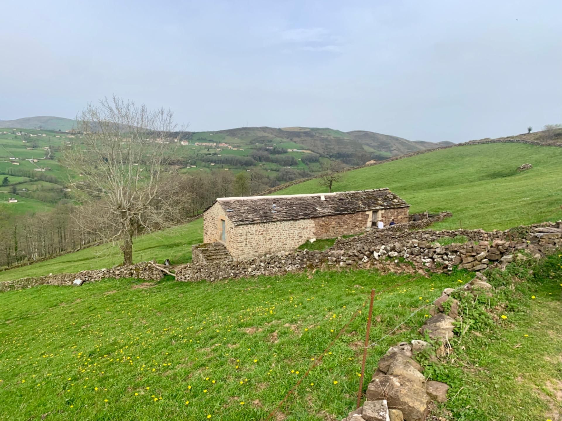 Single-family semi-detached for sale in San Pedro del Romeral