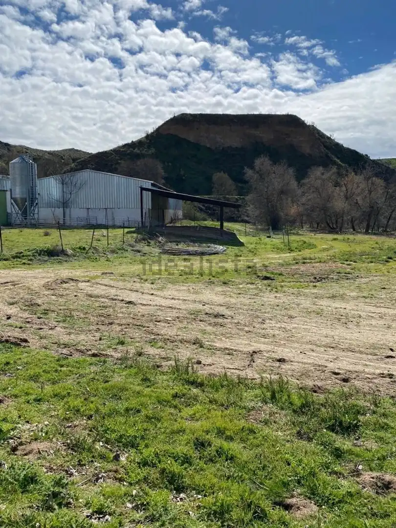Fabrikhallen zur Miete in El Viso de San Juan