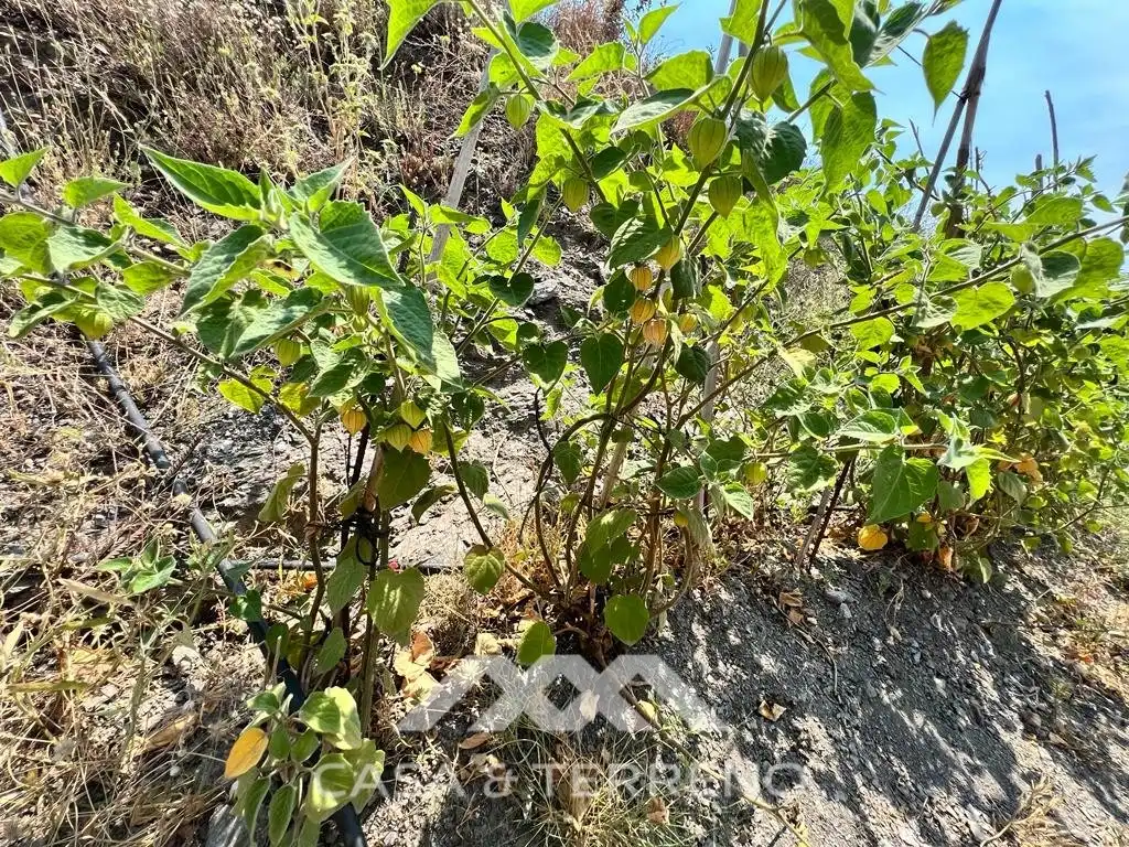 Residential for sale in Torrox