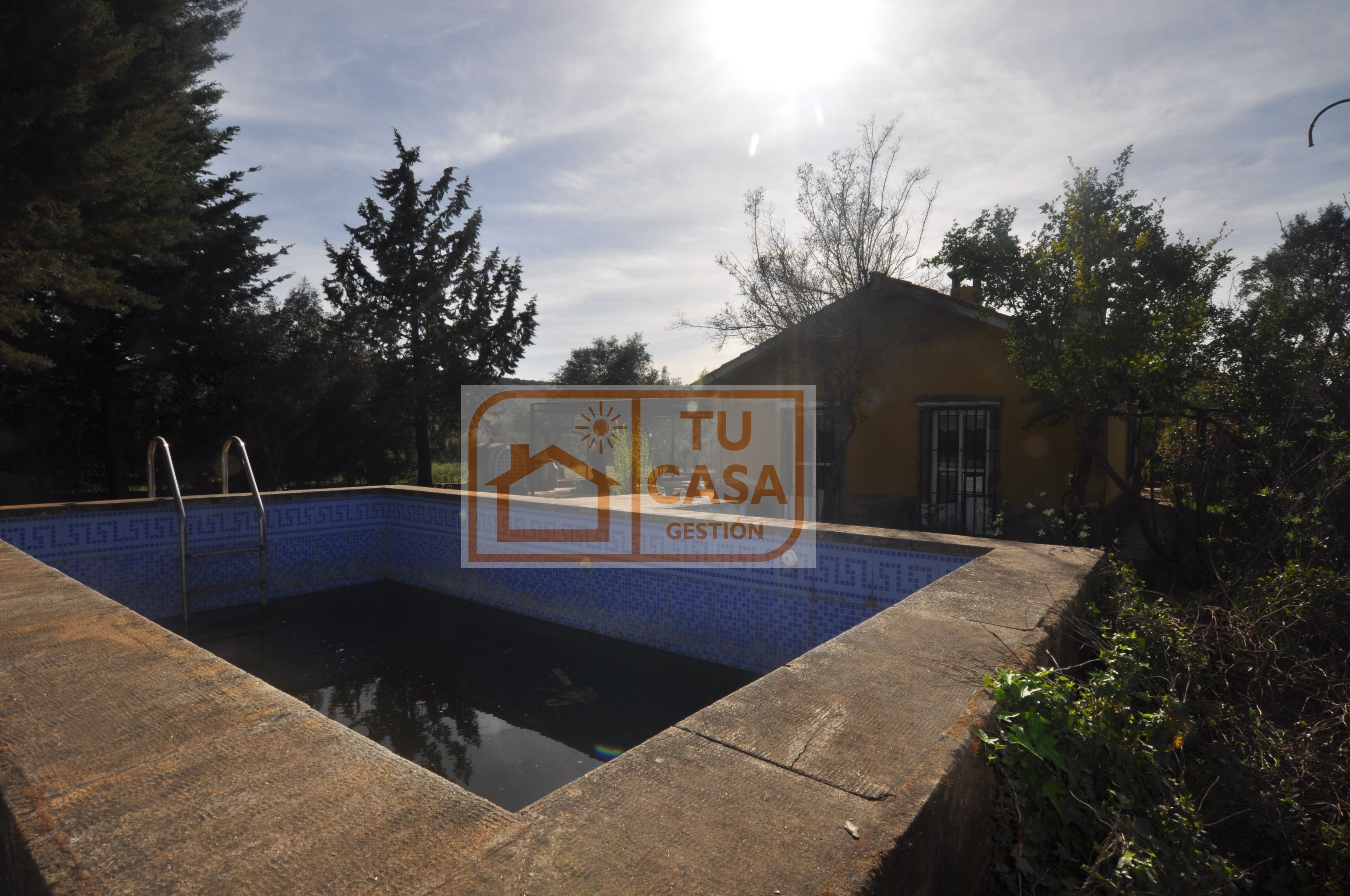 Piscina de Finca rústica en venda en Puebla de Obando amb Calefacció, Jardí privat i Terrassa
