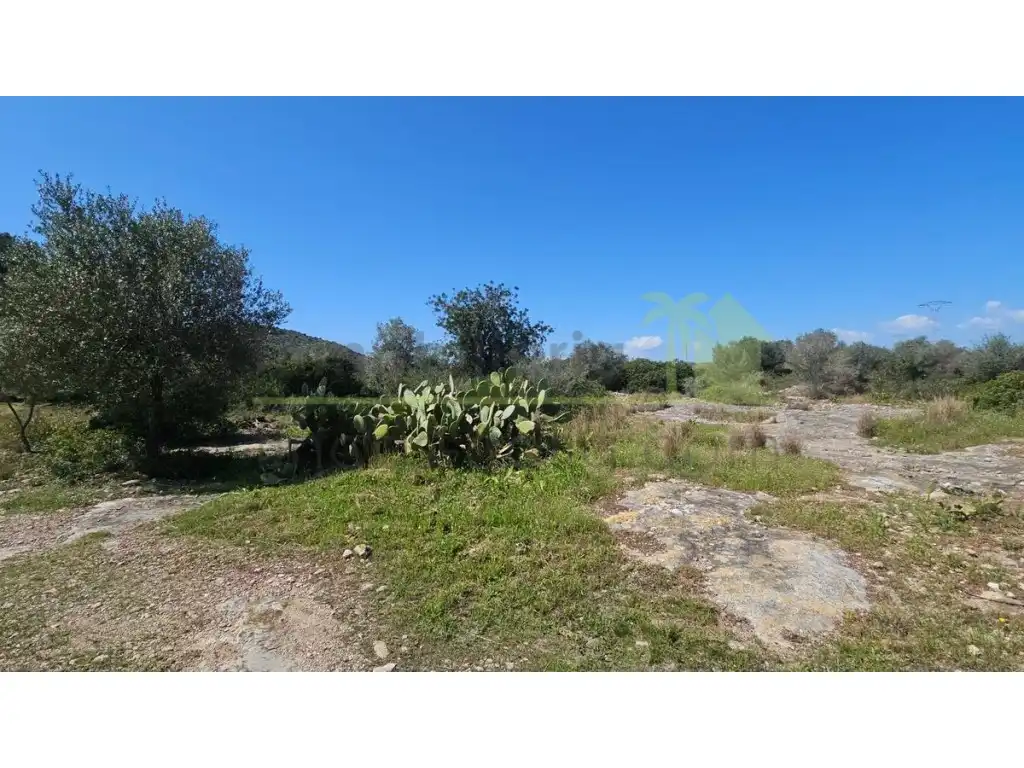 Terreny residencial en venda a Partidas de interior - Zona Rústica, imagen 7