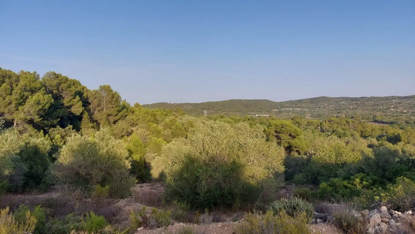 Terreno rustico in vendita a El Perelló, imagen 2