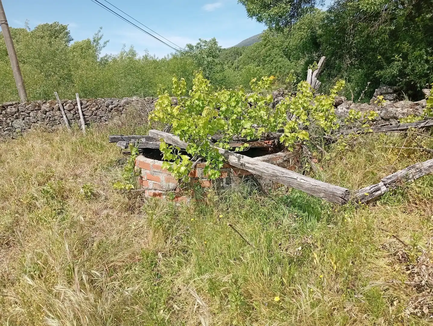 Terreni e lotti in vendita a Villanueva de la Vera, imagen 28