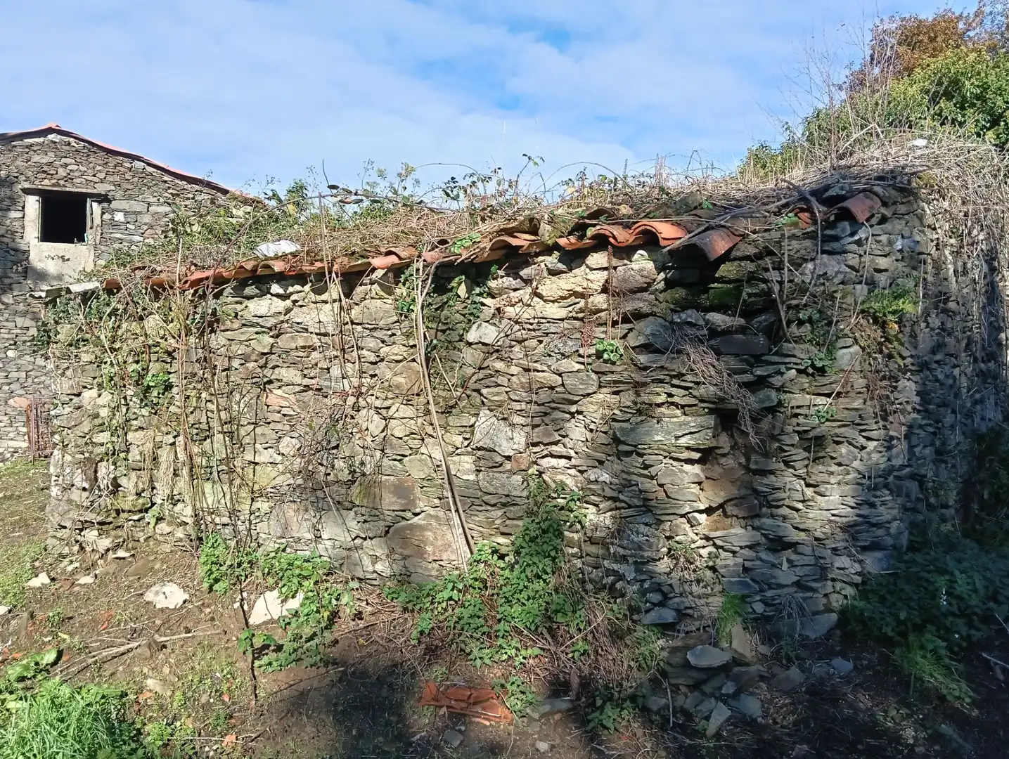 Maison à vendre à Cesuras, imagen 4