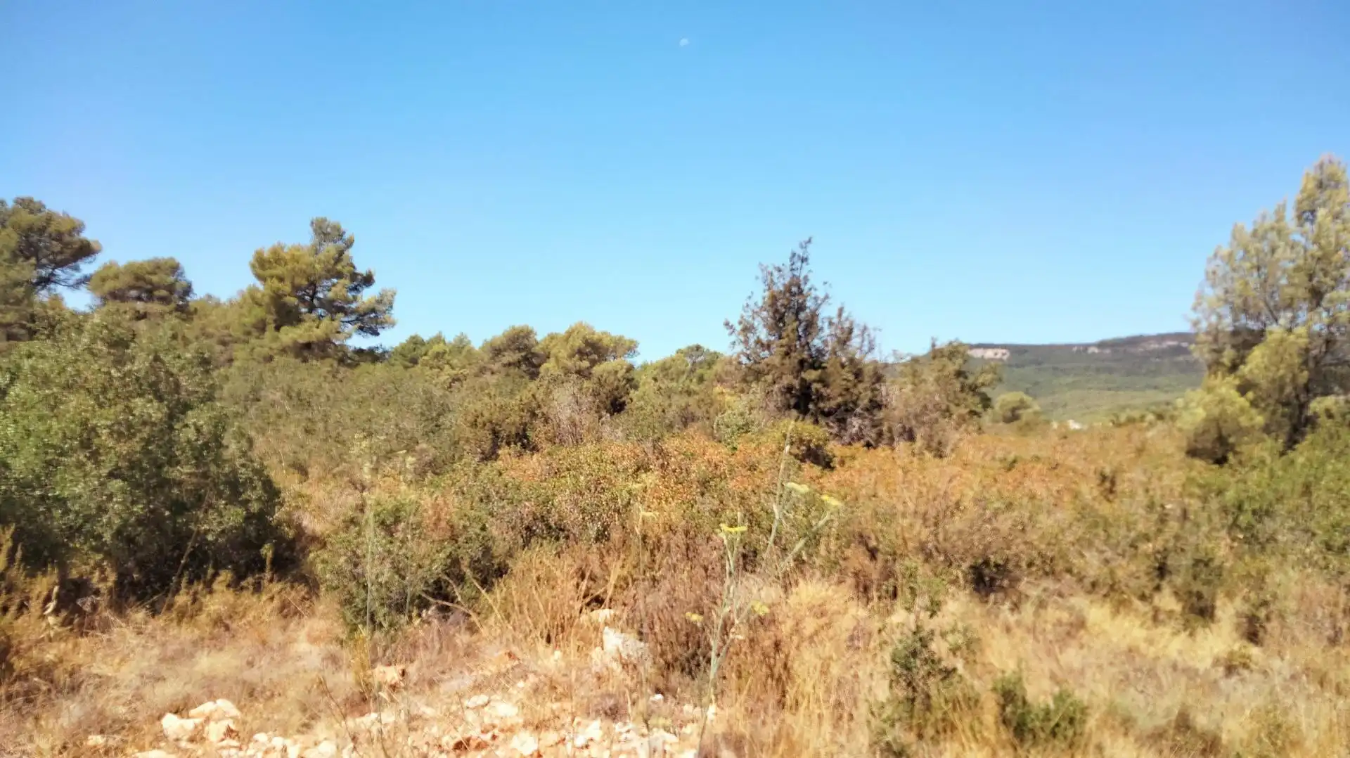 Terrenys i solars en venda a Querol, imagen 4