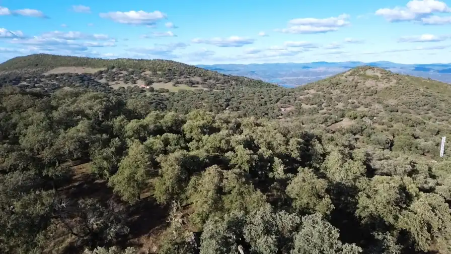 Terrenos y solares en venta en Dehesa 8, imagen 23