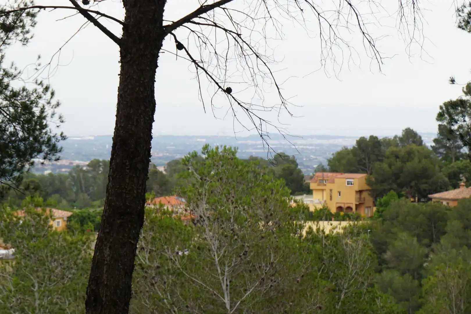 Terreno residenziale in vendita a Calle Ferreteries, imagen 4