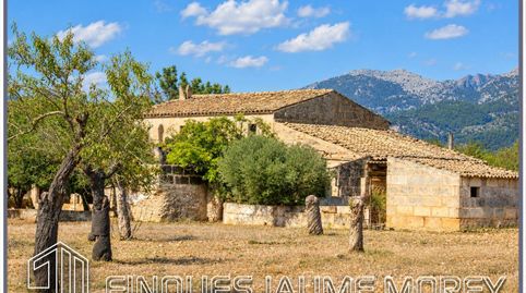 Finca rustica edificable en venta en Selva, imatge 4