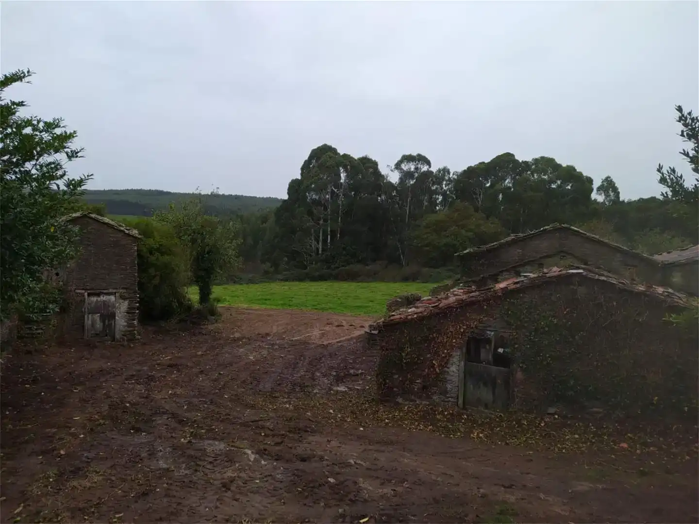 Finca rústica en venta en Frades