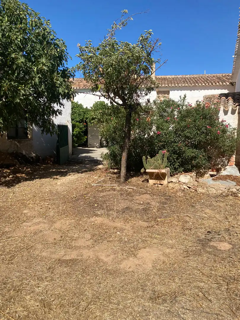 House with garden for sale in Calle Mayor 6, imagen 41