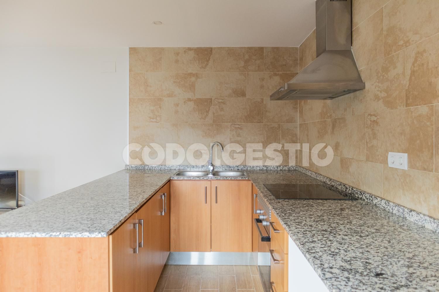 Casa o chalet en venta en Puig de les Vinyes